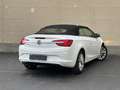 Opel Cascada Cascada 1.4 Turbo Cascada Blanco - thumbnail 14