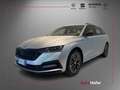 Skoda Octavia 2.0 TDI DSG 4x4 Wagon Sportline Matrix DCC Camera Argento - thumbnail 1