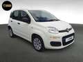 Fiat Panda POP S&S Weiß - thumbnail 3