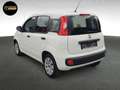 Fiat Panda POP S&S Weiß - thumbnail 7