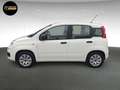 Fiat Panda POP S&S Weiß - thumbnail 8