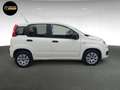 Fiat Panda POP S&S Weiß - thumbnail 4