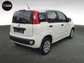 Fiat Panda POP S&S Weiß - thumbnail 5
