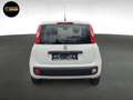 Fiat Panda POP S&S Weiß - thumbnail 6