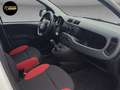 Fiat Panda POP S&S Weiß - thumbnail 11