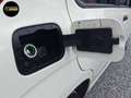 Fiat Panda POP S&S Weiß - thumbnail 22