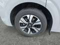 Volkswagen T7 Caravelle VW T7 Caravelle Life LR TDI 4MOTION Grau - thumbnail 13