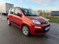 Fiat Panda Panda 1.2i Pop Rot - thumbnail 8