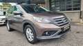 Honda CR-V CR-V 1.6 DIESEL .. UNICO PROPRIETARIO.. Gris - thumbnail 9