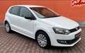 Volkswagen Polo 5p 1.2 Comfortline 70cv Clima Garanzia 12 mesi - thumbnail 1