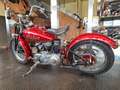 Indian Scout Rot - thumbnail 4