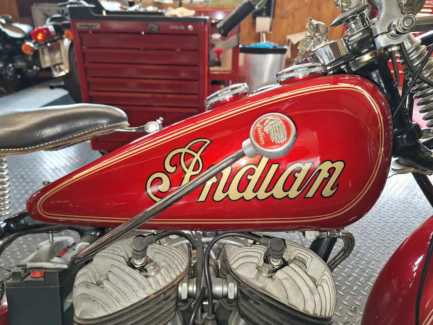 Indian Scout Rot - 1