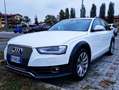 Audi A4 allroad A4 Allroad Quattro 2.0 tdi Business 177cv s-tronic Bianco - thumbnail 1