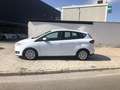 Ford C-Max 1.0 Ecoboost Auto-S&S Trend+ 100 Bianco - thumbnail 7