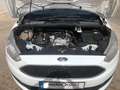 Ford C-Max 1.0 Ecoboost Auto-S&S Trend+ 100 Bianco - thumbnail 15