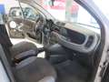 Fiat Panda Panda III 1.0 firefly hybrid City Life s* Gris - thumbnail 11