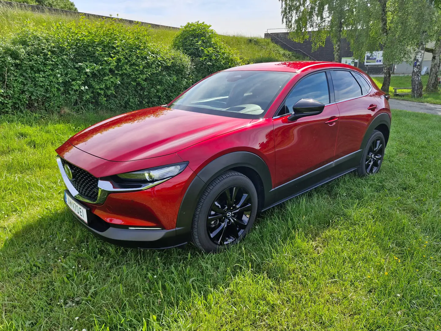 Mazda CX-30 CX-30 e-Skyactive G140 Homura Homura Rot - 2