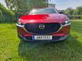 Mazda CX-30 CX-30 e-Skyactive G140 Homura Homura Rot - thumbnail 1