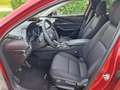 Mazda CX-30 CX-30 e-Skyactive G140 Homura Homura Rot - thumbnail 6