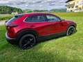 Mazda CX-30 CX-30 e-Skyactive G140 Homura Homura Rot - thumbnail 5