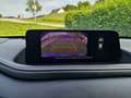 Mazda CX-30 CX-30 e-Skyactive G140 Homura Homura Rot - thumbnail 8