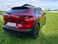 Mazda CX-30 CX-30 e-Skyactive G140 Homura Homura Rot - thumbnail 4