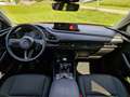 Mazda CX-30 CX-30 e-Skyactive G140 Homura Homura Rot - thumbnail 9