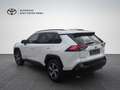 Toyota RAV 4 RAV4 Plug-in-Hybrid 4x4 Executive Paket Weiß - thumbnail 3