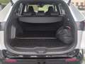 Toyota RAV 4 RAV4 Plug-in-Hybrid 4x4 Executive Paket Weiß - thumbnail 22