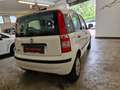 Fiat Panda 1.2 Dynamic Bianco - thumbnail 11