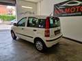 Fiat Panda 1.2 Dynamic Bianco - thumbnail 12