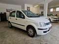 Fiat Panda 1.2 Dynamic Bianco - thumbnail 5