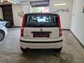 Fiat Panda 1.2 Dynamic Bianco - thumbnail 8