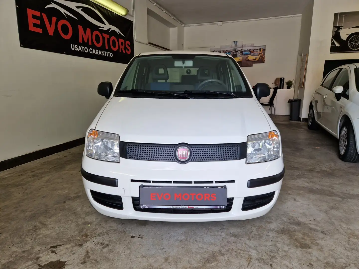 Fiat Panda 1.2 Dynamic Bianco - 1