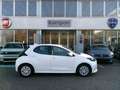 Toyota Yaris Yaris 1.0 5 porte Business Weiß - thumbnail 2