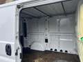 Fiat Ducato 2.0 D lichte vracht Weiß - thumbnail 6