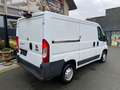 Fiat Ducato 2.0 D lichte vracht Weiß - thumbnail 4