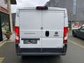 Fiat Ducato 2.0 D lichte vracht Weiß - thumbnail 5