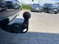 Skoda Enyaq iV 80x Sportline*AHK*PANO*SHZ*NAVI*RFK*360* Schwarz - thumbnail 17