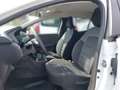Dacia Sandero Stepway Essential TCe 90 Bianco - thumbnail 5