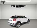 Audi Q2 30 2.0 tdi Wit - thumbnail 5