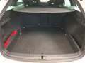 Skoda Octavia RS Combi 2.0 TDI Pano HUD CarPlay LED Wit - thumbnail 14