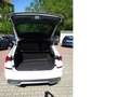 Skoda Kamiq 1.5 TSI CleverOPF Panorama, Autom, AHK Weiß - thumbnail 5