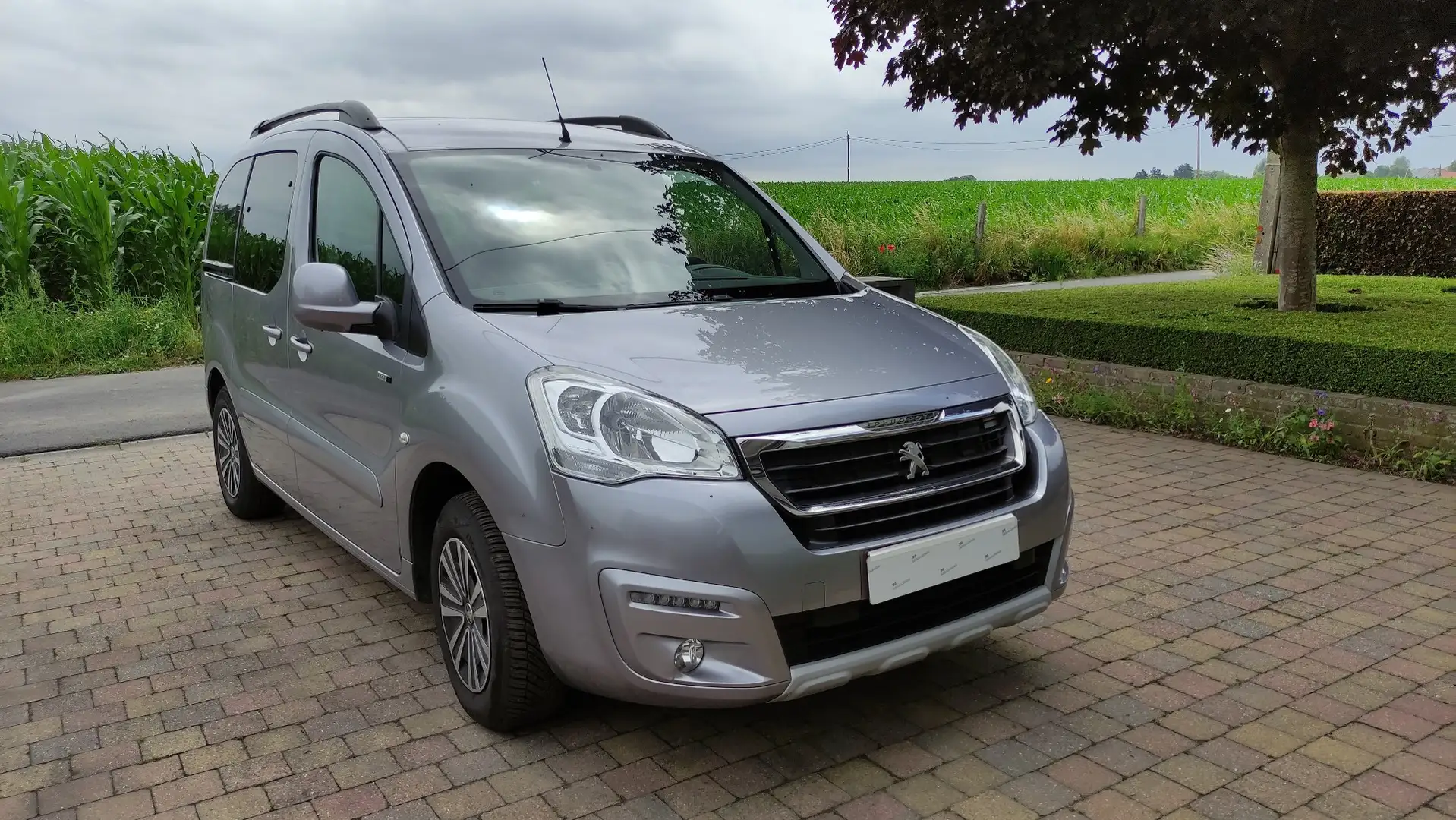 Peugeot Partner Tepee Style - 2