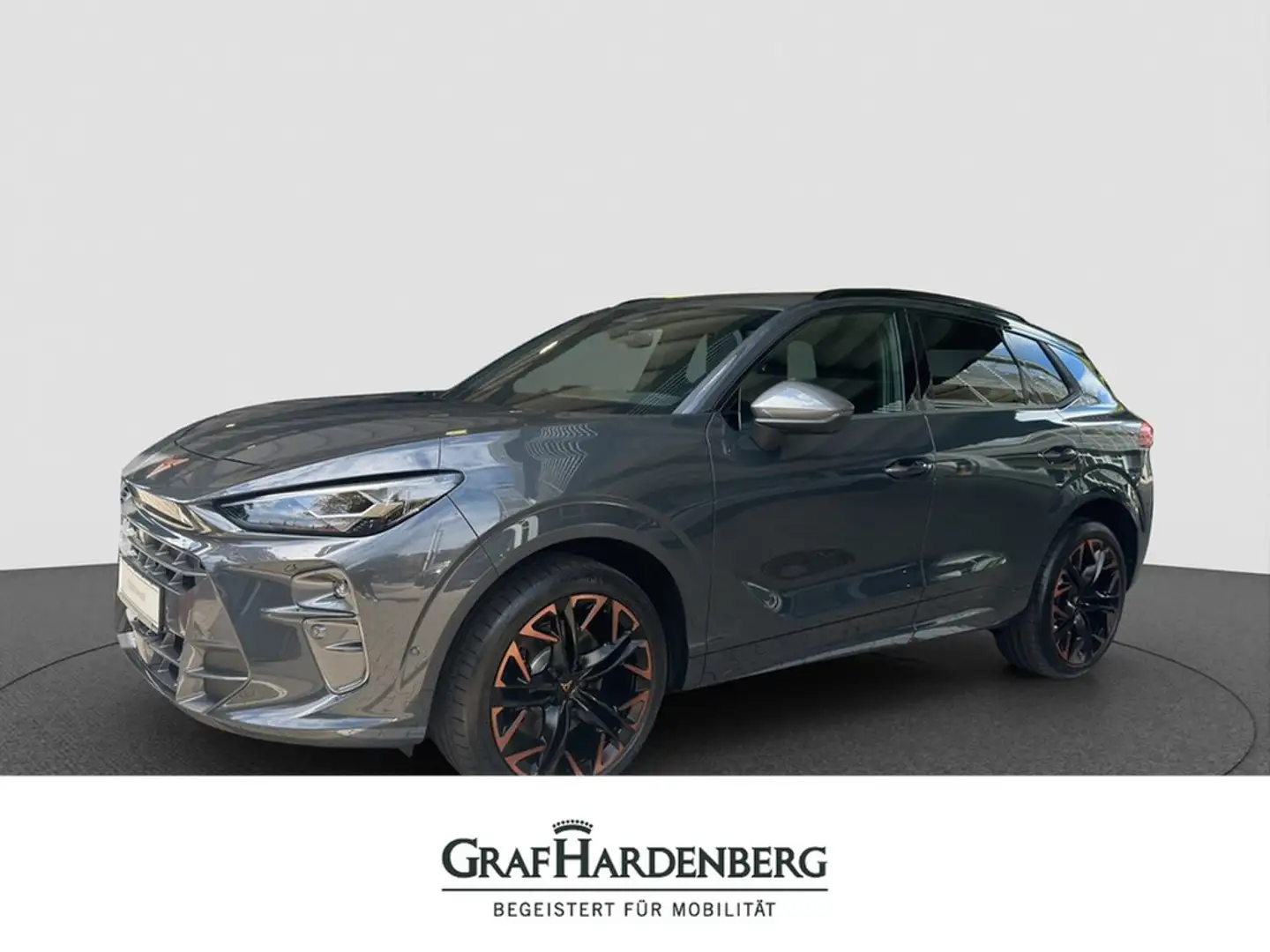 CUPRA Terramar VZ 2.0 TSI 4Drive DSG Grau - 1