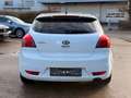 Kia Ceed / cee'd Weiß - thumbnail 5