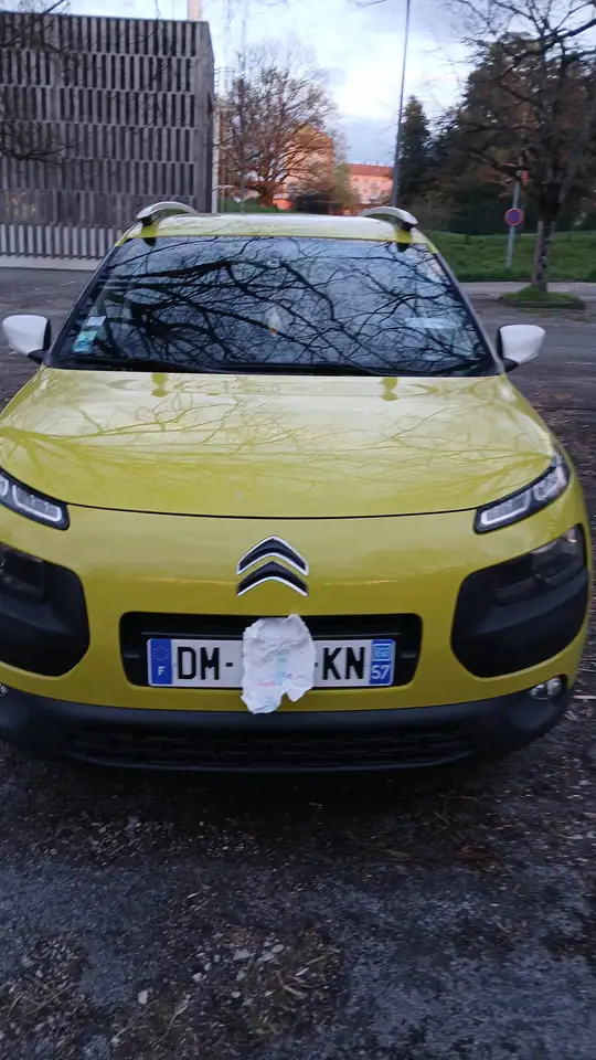 Citroen C4 Cactus VTi 82 Feel