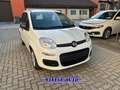 Fiat Panda PROMO FIN.1.0 HYBRID +PACK CITY KM 0 Bianco - thumbnail 2