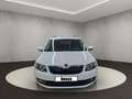 Skoda Octavia 1.4 TSI Joy Green tec, Anhängerkupplung Blanc - thumbnail 8