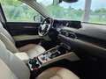 Mazda CX-5 CX-5 2.5 Skyactiv-G Zenith Safety White Sky AWD Aut. Zenith Safety White Sky Rojo - thumbnail 13